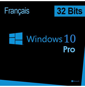 Windows 11 Pro 64-Bit DSP OEI licence Français DVD Disque