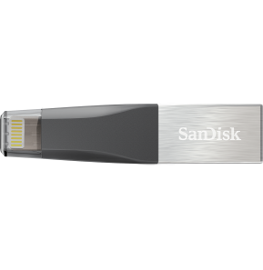 SanDisk iXpand Go - clé USB - 128 Go